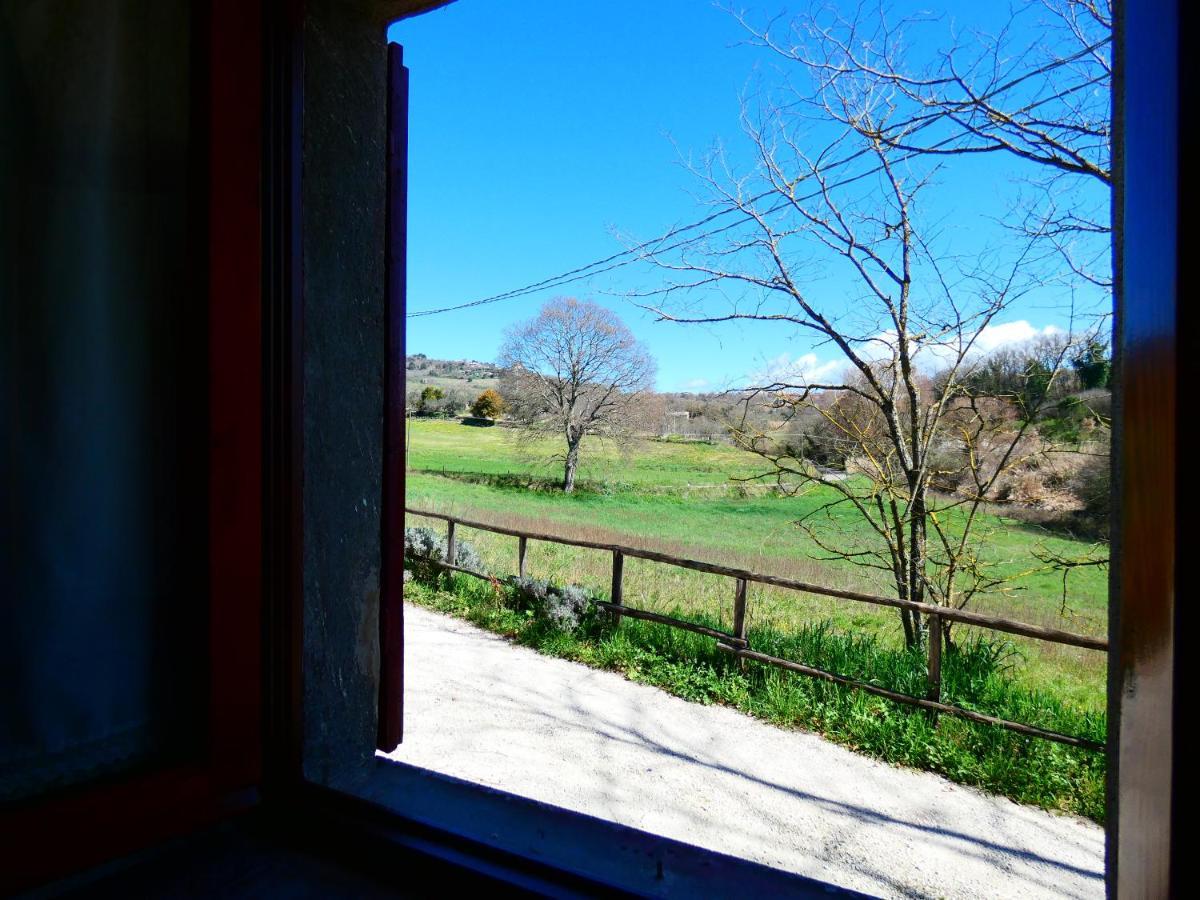 La Baronessa Country House Montefiascone Eksteriør billede