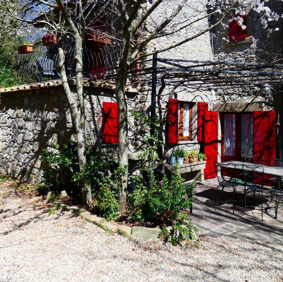 La Baronessa Country House Montefiascone Eksteriør billede